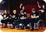 DisAbility Project performance