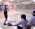 indoor fuzzball