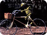 a frog riding a bicycle